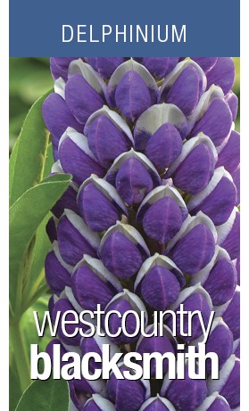 Lupine Westcountry Blacksmith