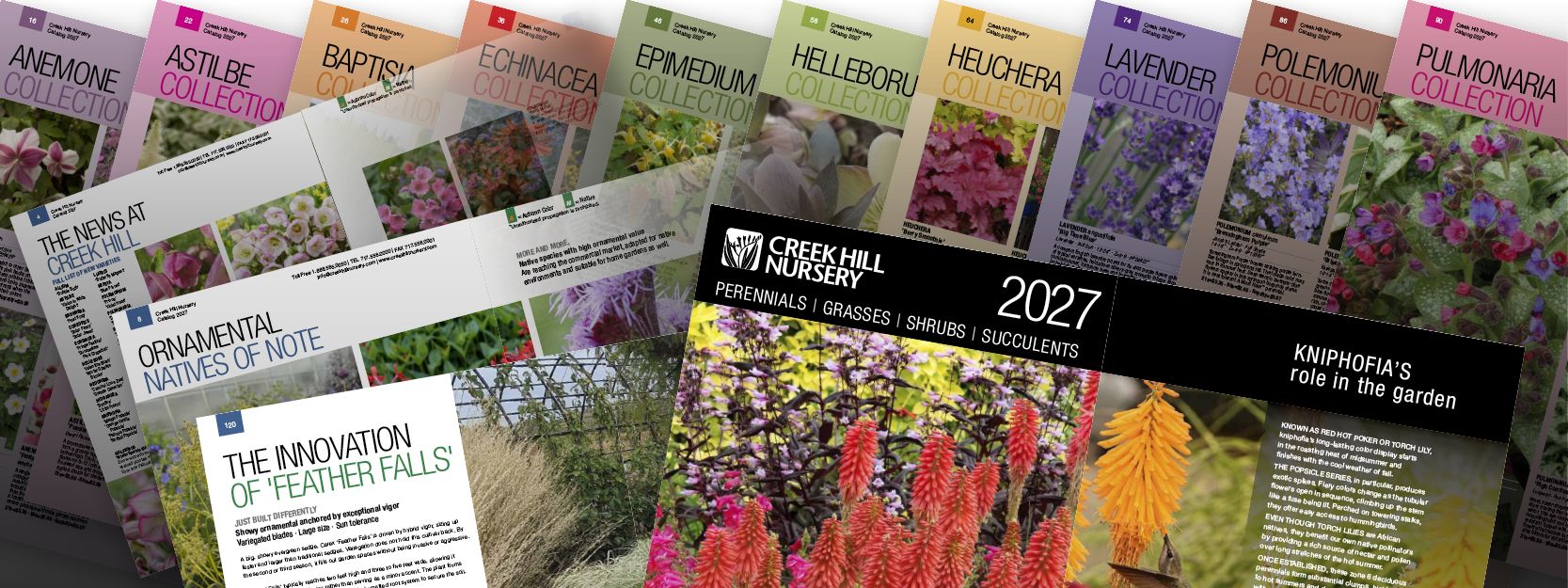 Catalog Articles
